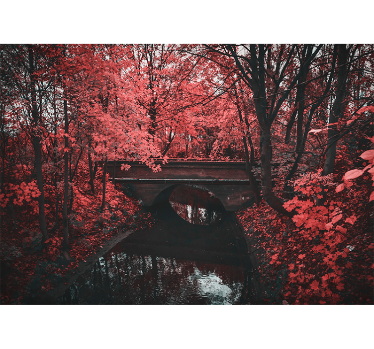 Tapete priroda crveni listnati šumarski pejzaž - TenStickers