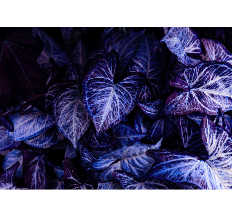 Foto tapete za dnevni boravak šare ljubičastog lišća - TenStickers