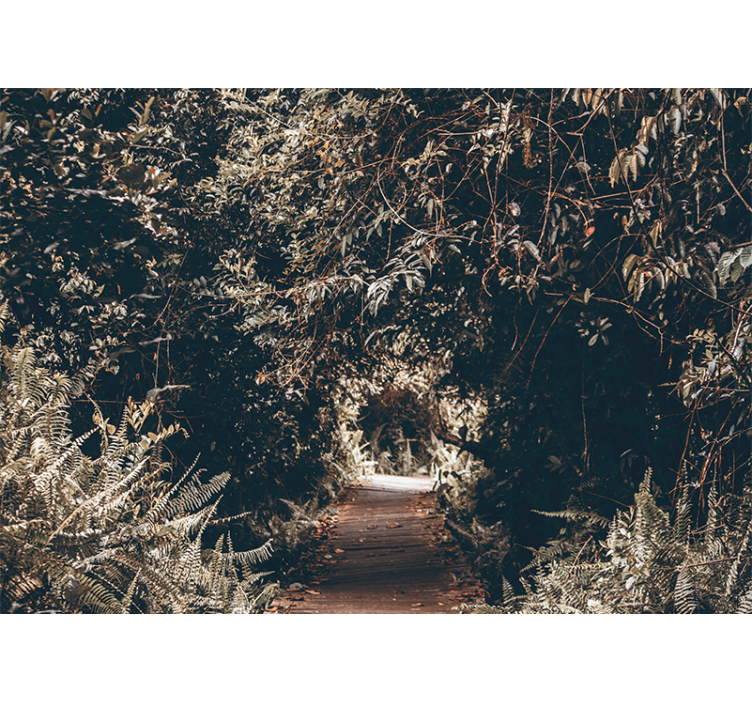 Tapete priroda staza kroz šumu - TenStickers