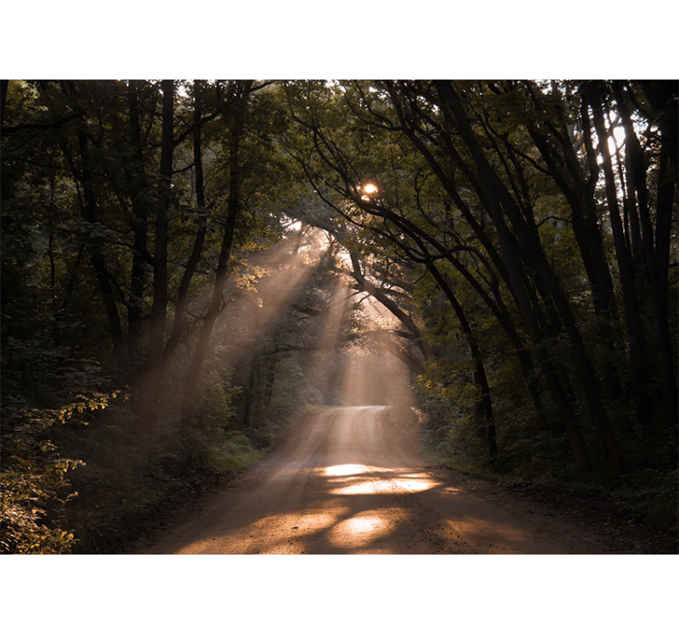 Tapete priroda sjajna šumska staza - TenStickers