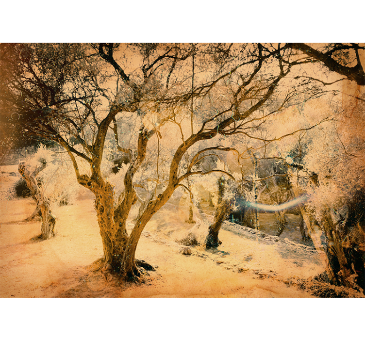 Detaljan mural masline - TenStickers