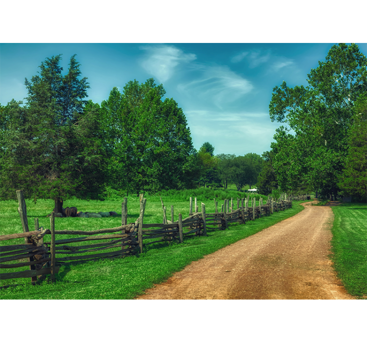 Foto tapeta vibrantni zeleni put - TenStickers