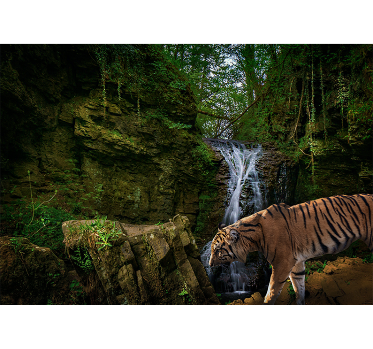 Foto tapete šumski velikodušni tigar u šetnji - TenStickers