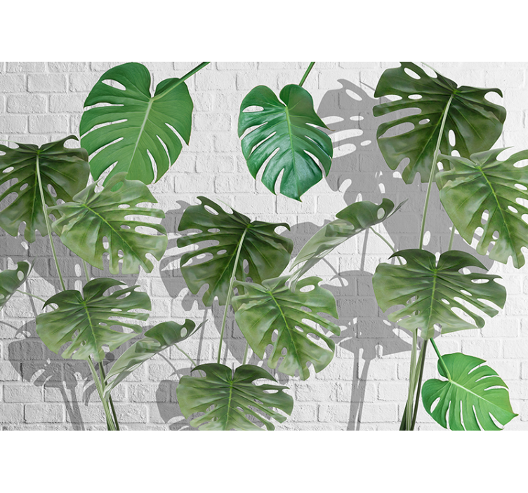 Tapete priroda monstera listovi aranžman - TenStickers