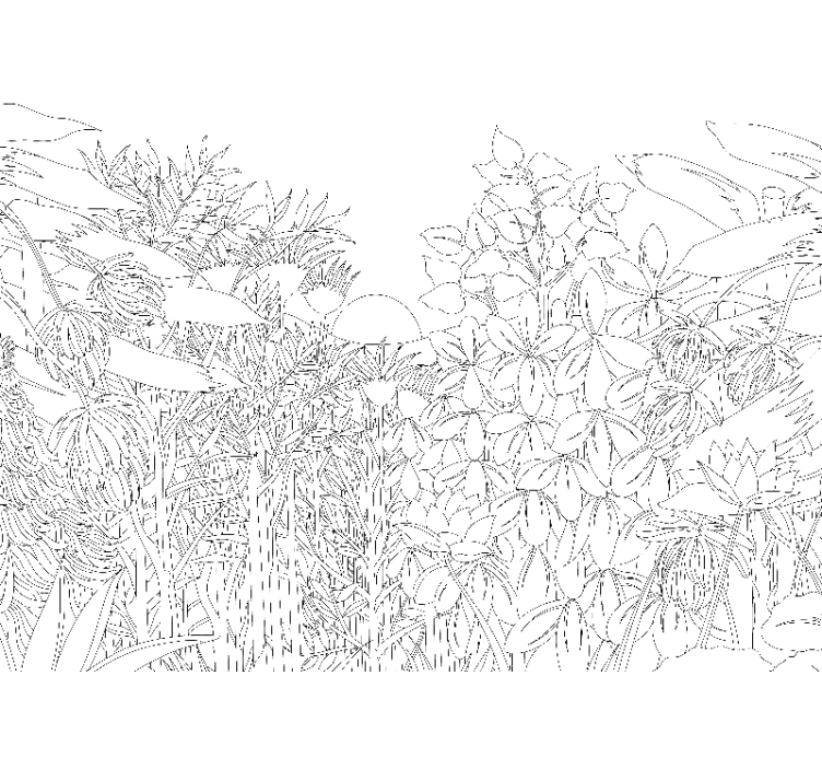 Foto tapete cvijet uzorak cvjetne prirode - TenStickers