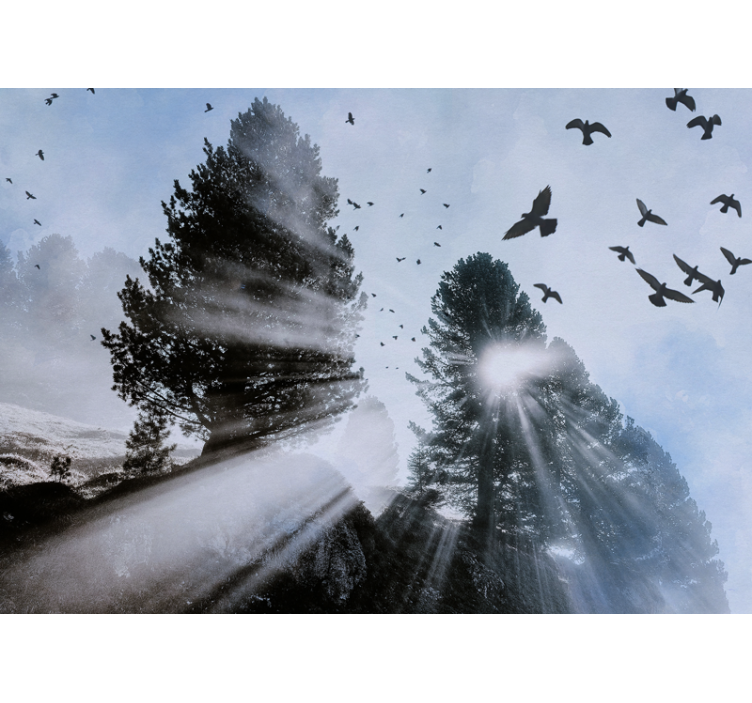 Foto tapete šumski blistave orestove zrake s pticama - TenStickers