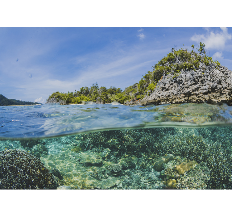 Foto tapeta podvodni morski pejzaž - TenStickers