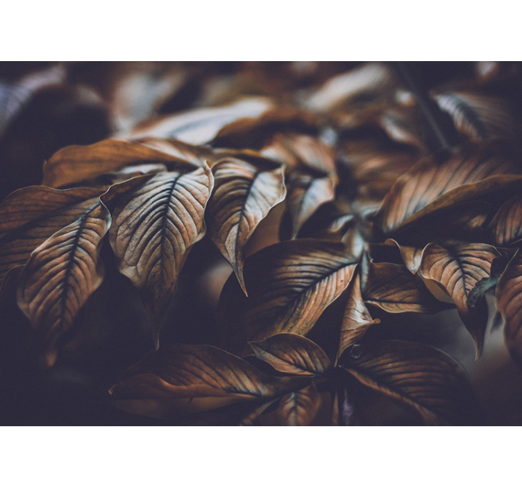 Zlatni listovi priroda zidni mural - TenStickers