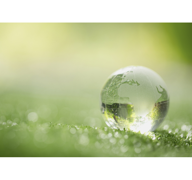 šumski zidni mural kap vode preko trave - TenStickers