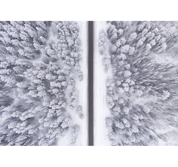 Foto tapeta zimska šumska staza - TenStickers