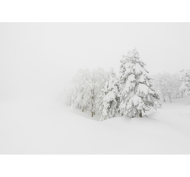 Tapete priroda zimska šuma - TenStickers