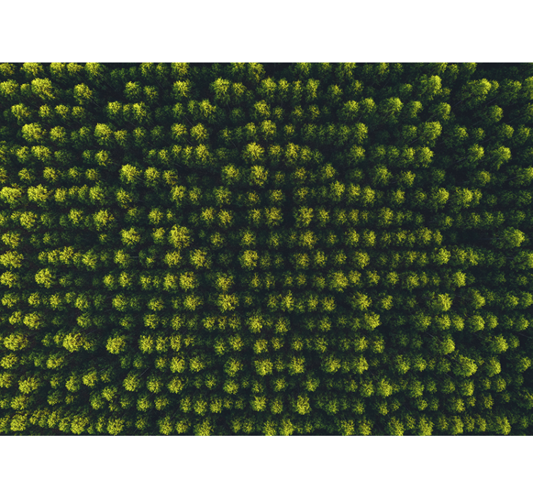 Tapete priroda u zelenom lišću okruženju - TenStickers