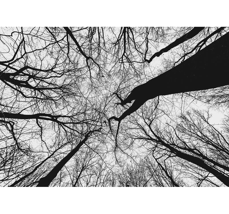 Foto tapete stabla s isprepletenim granama - TenStickers