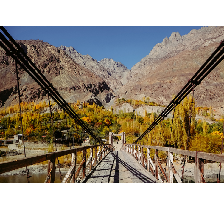 Most od džungle šumski zidni zid - TenStickers