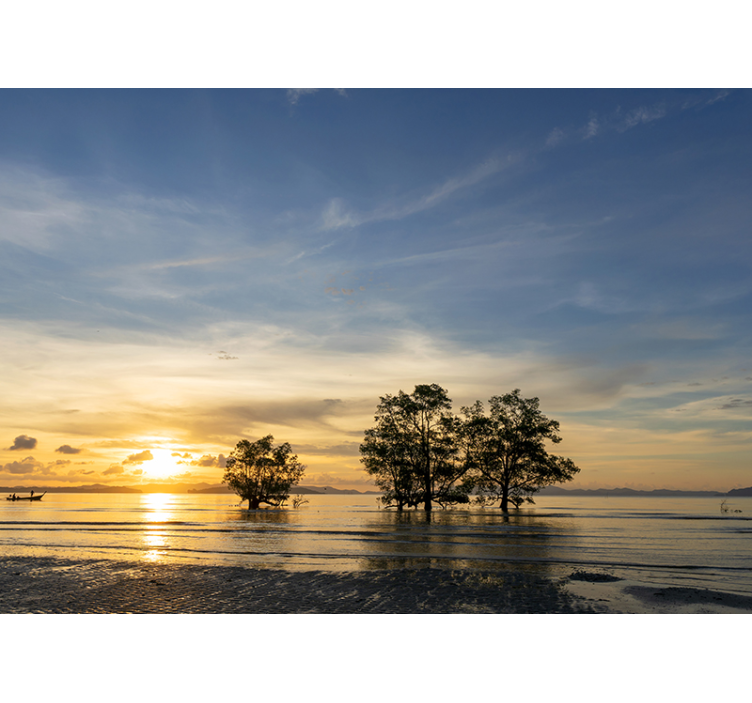 Foto tapeta spokojan zalazak sunca - TenStickers