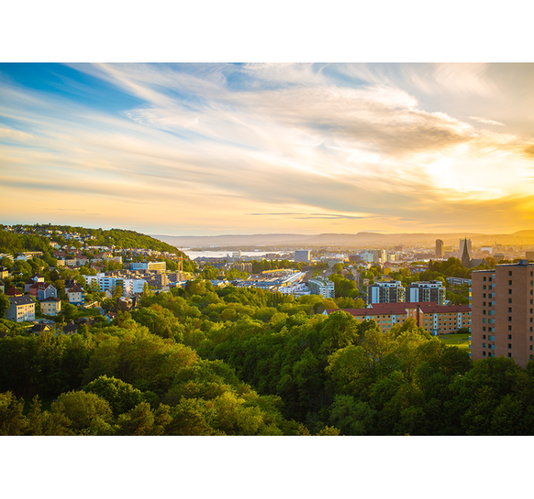 Zidne slike i zidne freske pogled na urbani krajolik - TenStickers