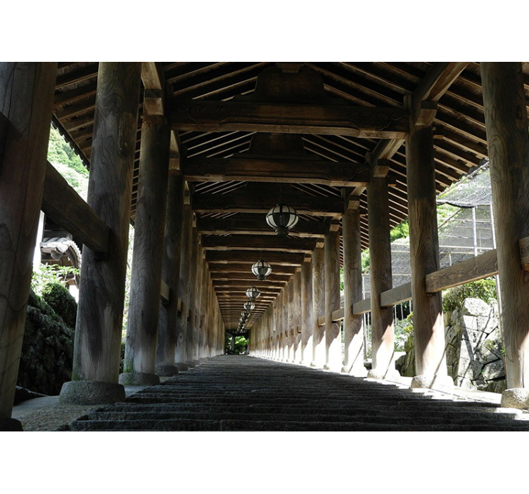 Foto tapete šumski pogled na drveni put - TenStickers