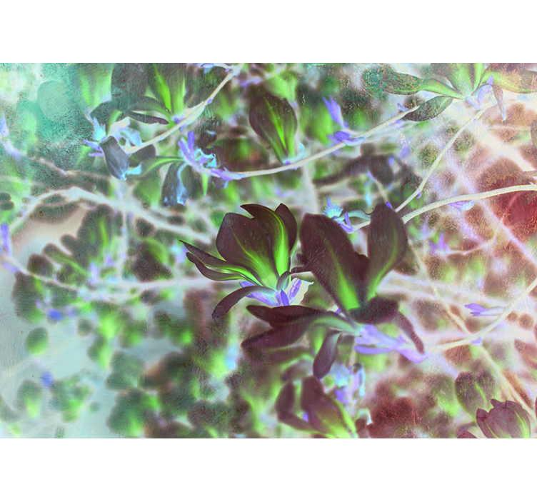 Foto tapete orhideja eksplozija cvjetova magnolije - TenStickers