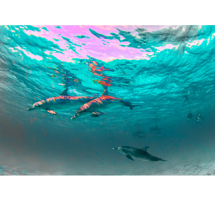 Zidni freske dupini plivaju razigrano - TenStickers