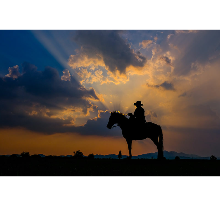 Zidni freske jahač na konju - TenStickers