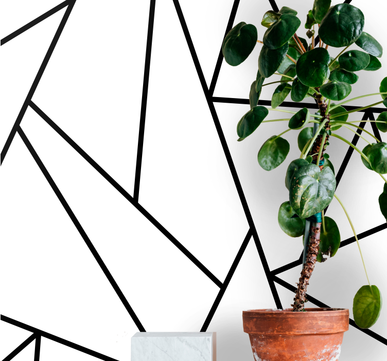 Apstraktni fototapete geometrijske crne linije - TenStickers