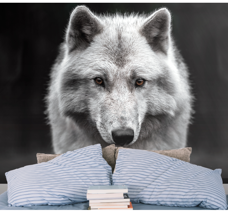Bijeli vuk zidni foto mural - TenStickers