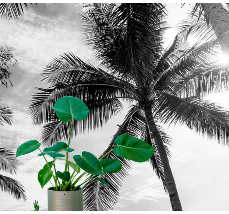 Crno-bijeli zidni zid palme - TenStickers