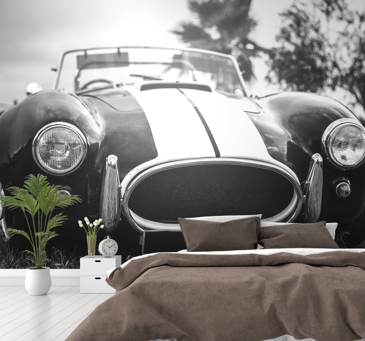 Foto pozadina vintage trkaćih automobila - TenStickers