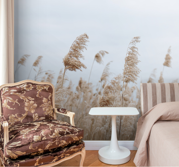 Foto tapeta pampas grass vedrina - TenStickers