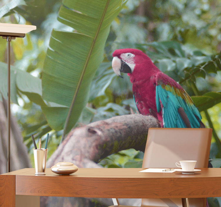 Foto tapeta Šareni papiga ara - TenStickers