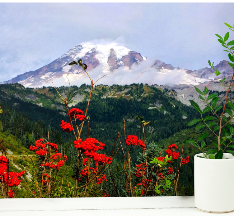 Foto tapeta snježni vrhovi planina - TenStickers