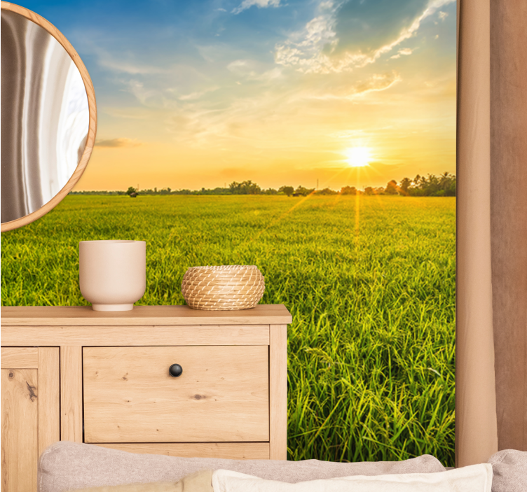 Foto tapeta zalazak sunca nad zelenim poljima - TenStickers