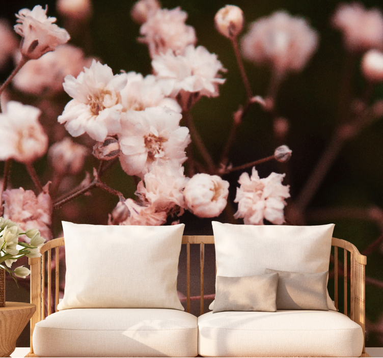 Foto tapete cvijet delikatni cvjetovi u cvatu - TenStickers