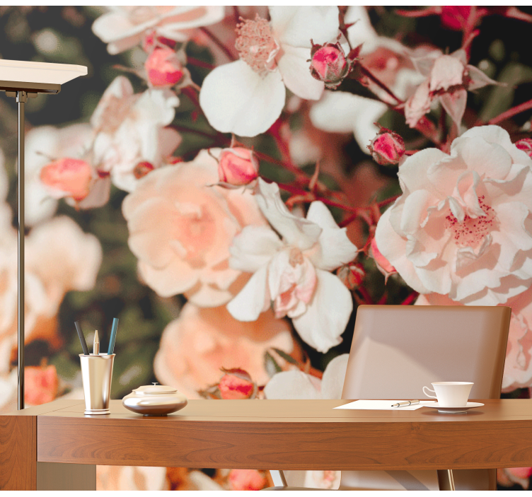 Foto tapete cvijet latice rozeta u cvatu - TenStickers