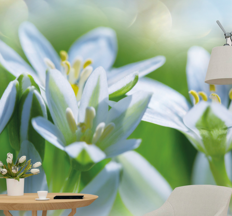 Foto tapete cvijet nježni bijeli cvjetovi - TenStickers