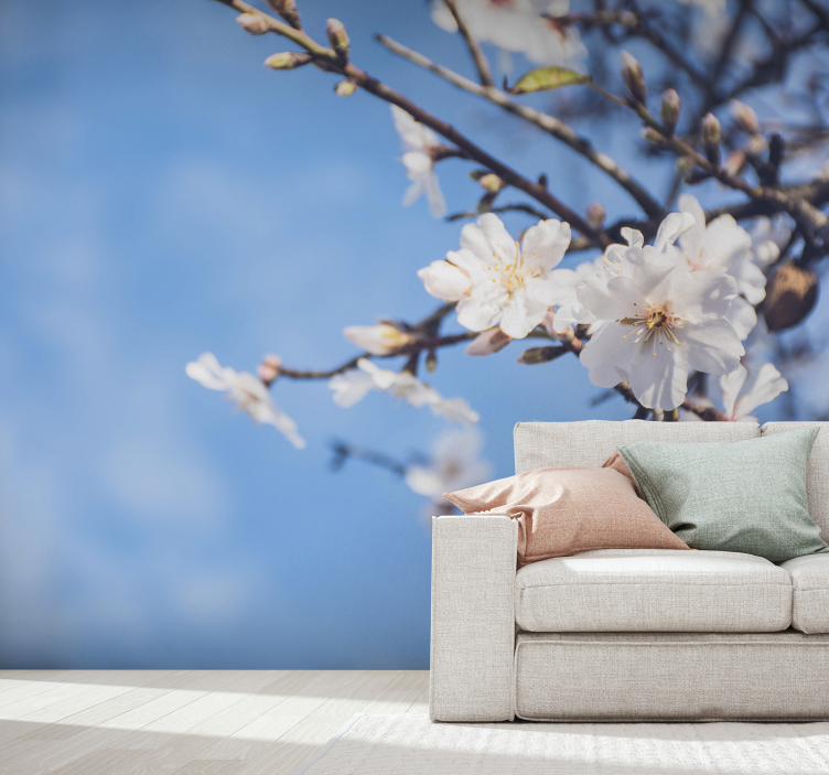 Foto tapete cvijet rascvjetale grane - TenStickers