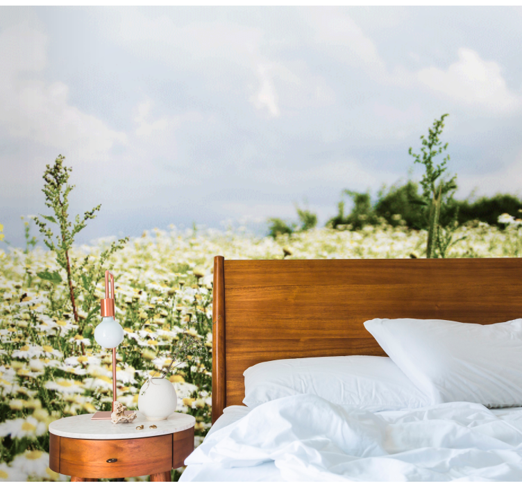 Foto tapete cvijet scena polja tratinčica - TenStickers