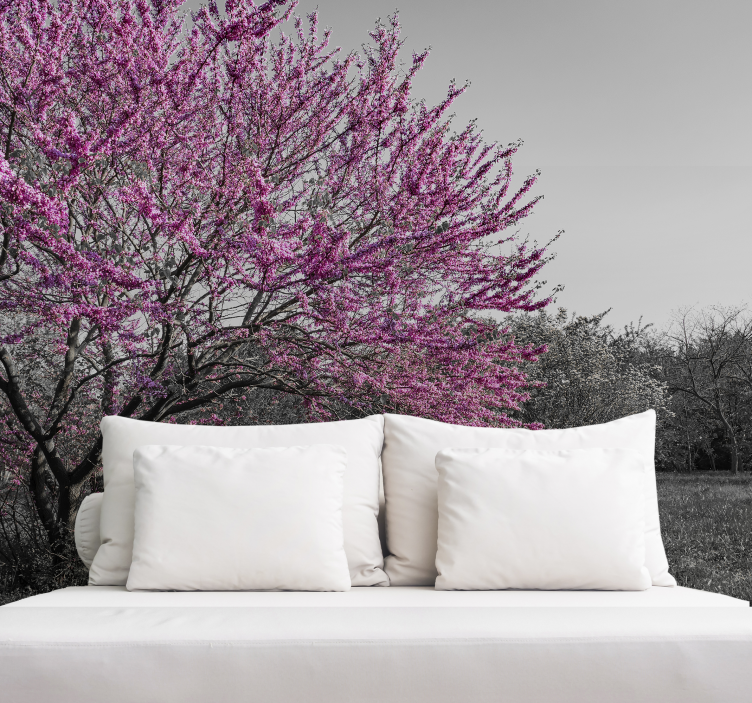 Foto tapete cvijet trešnja u cvatu - TenStickers