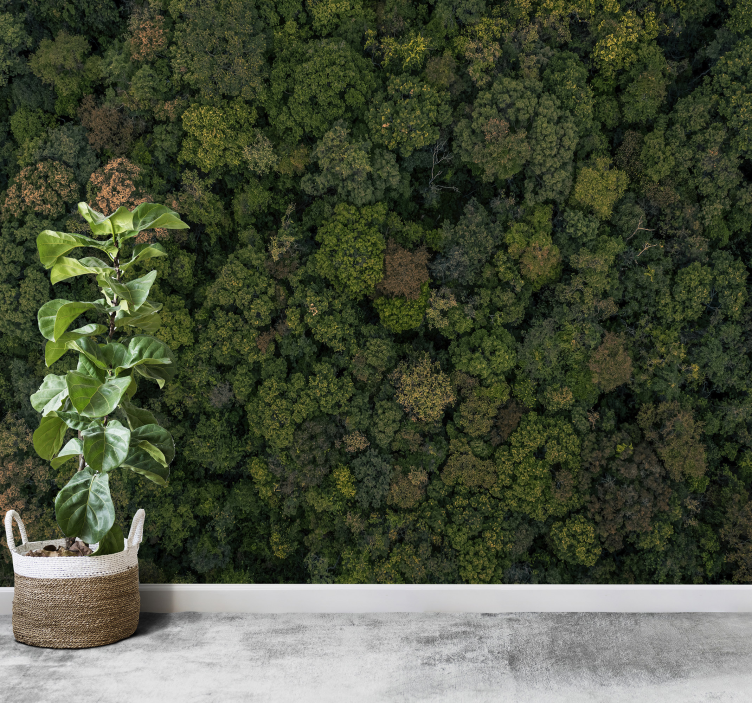 foto tapete džungla pogled na šumu iz zraka - TenStickers