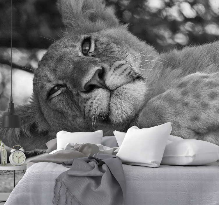 Foto tapete lavova za opuštanje s majstorskim lavom - TenStickers