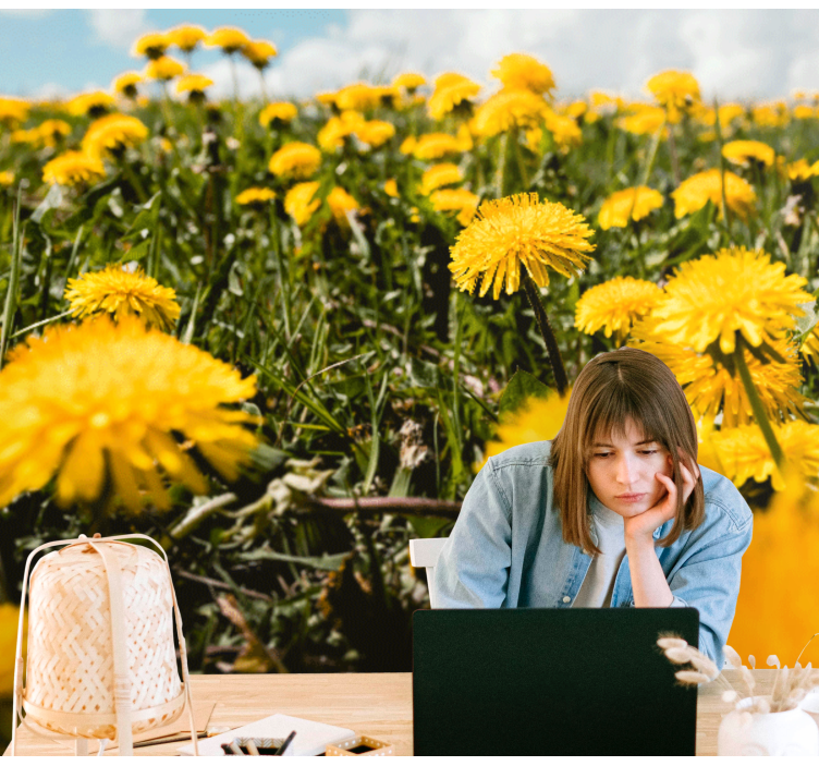 Foto tapete maslačka pogled na polje maslačka - TenStickers
