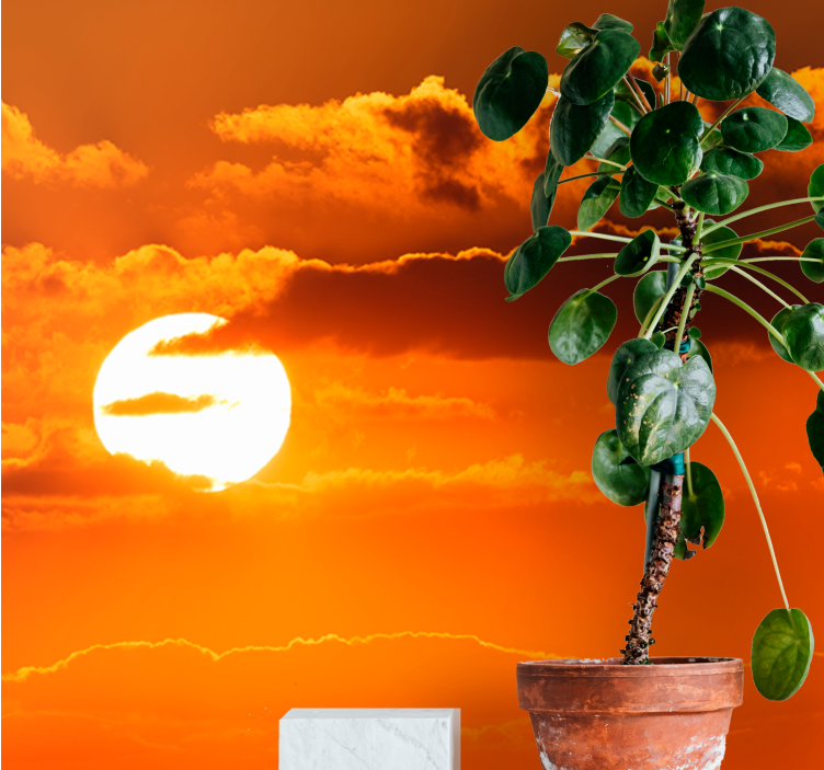 Foto tapete nebo zalazak sunca iznad oblaka - TenStickers