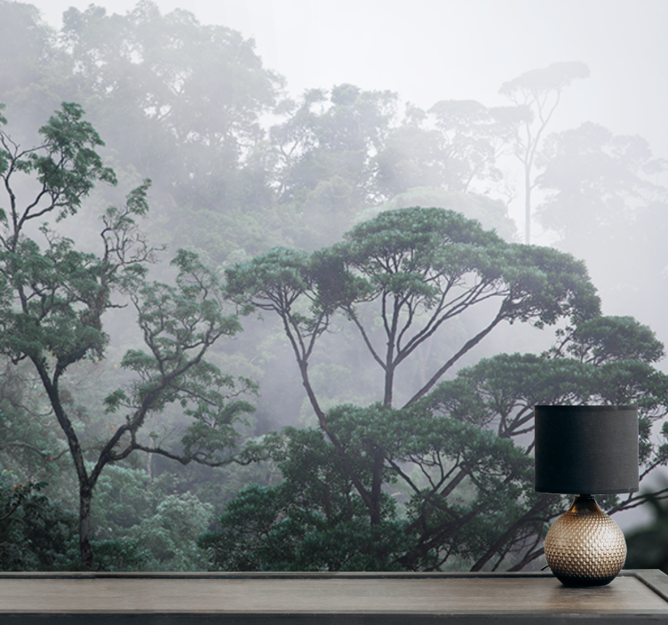 Foto tapete šumski magloviti šumski pejzaž - TenStickers