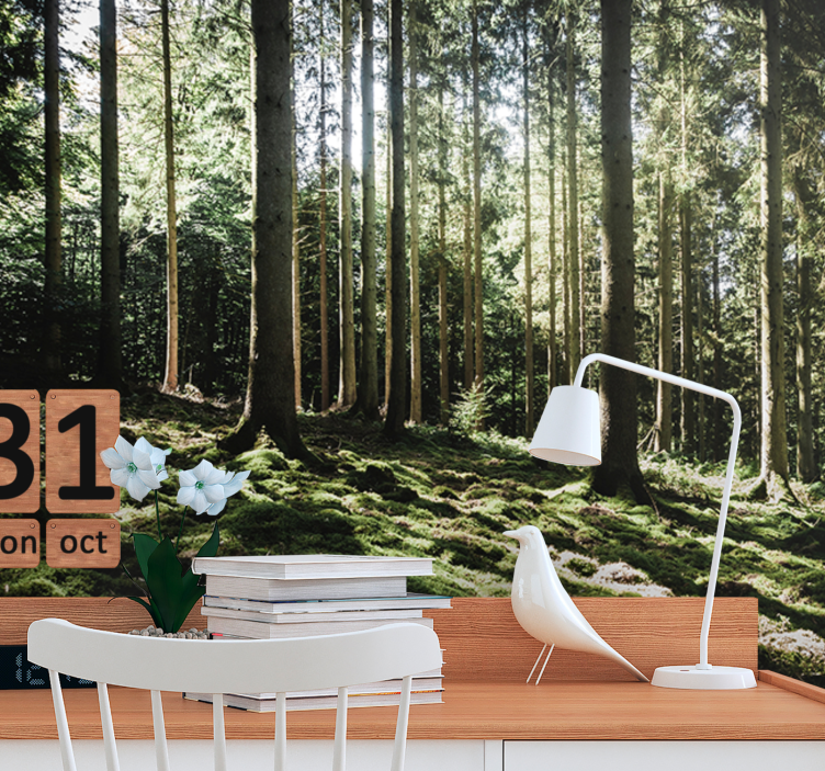 Foto tapete šumski mirna šumska scena - TenStickers