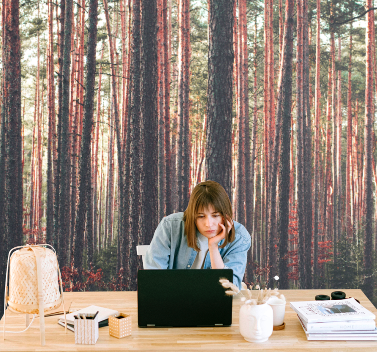 Foto tapete šumski mirni borovi - TenStickers