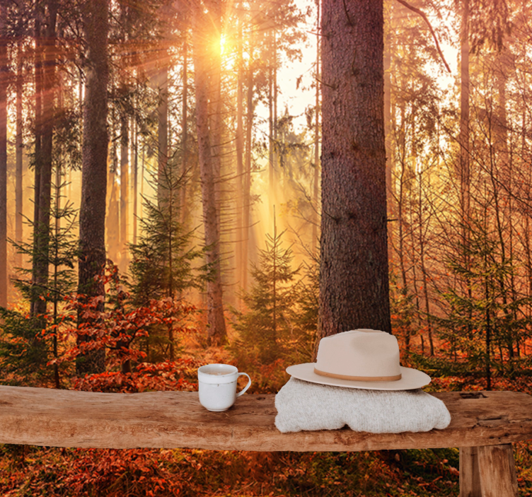 Foto tapete šumski sjaj sunčanog šuma - TenStickers