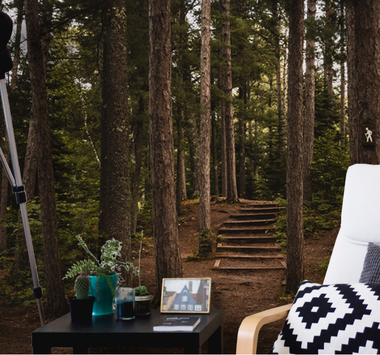 Foto tapete šumski staza mira u šumi - TenStickers