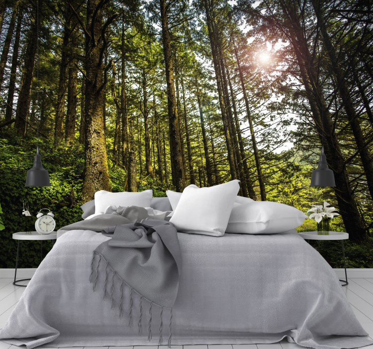 Foto tapete šumski suncem obasjana šumska staza - TenStickers