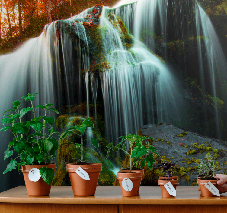 Foto tapete vodopada blagi padajući vodopad - TenStickers