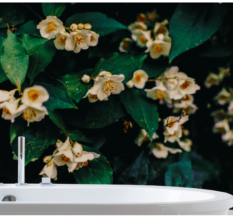 Jasmin cvijeće kupaonske freske - TenStickers